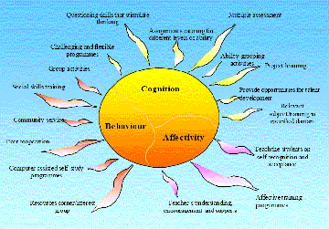 This diagram shows strategic exemplars that meet the cognitive, behavioural and affective needs of gifted students 