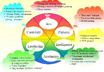 This diagram shows strategic exemplars that meet the cognitive, behavioural and affective needs of gifted students 