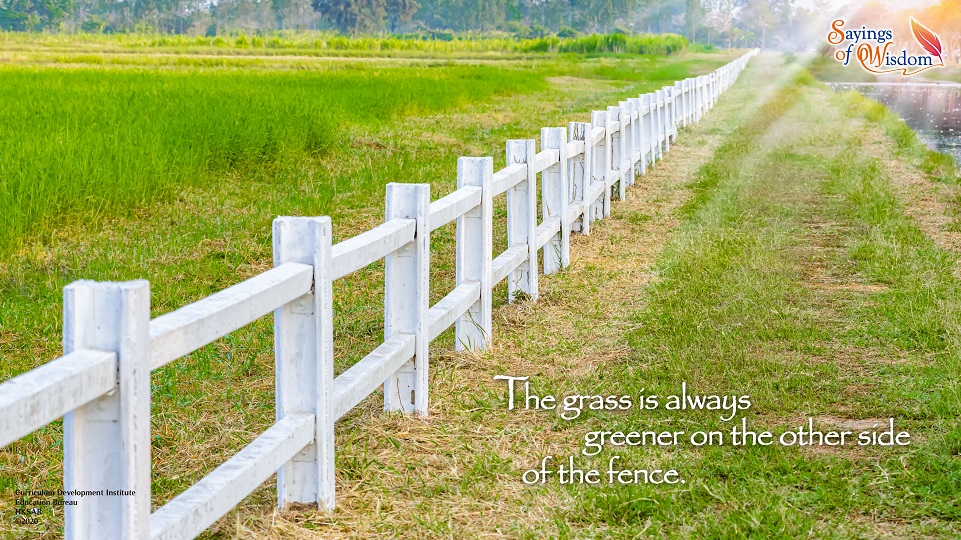 Cherish What You Have: The Grass is Always Greener on the Other Side of the Fence