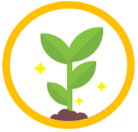 SEED Projects