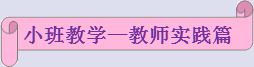 小班教学－教师实践篇