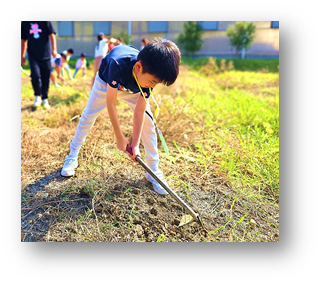 通过语文学习，培育美德，成为良好的国民及世界公民 图片