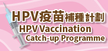 Human papillomavirus vaccination catch-up programme
